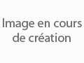 Expert en dépannage serrurerie Saint-Maur-des-Fossés - Prestation de qualité